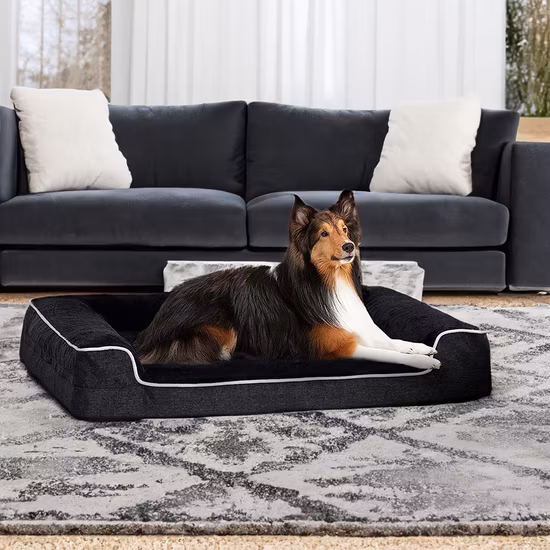 Funda extraíble lavable, sofá esponjoso para mascotas, asiento para perro, asiento de coche, cama